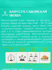 Капуста савойская НЮША 0,3г / Евро - семена