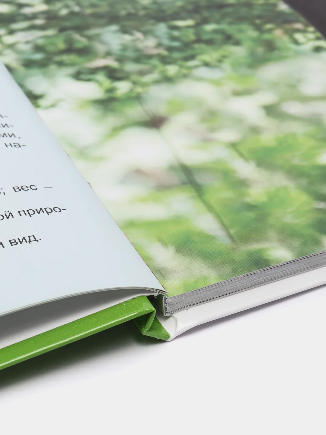 Книга энциклопедия для детей "Обезьяны" 64 стр. 217х280 мм. Проф-Пресс