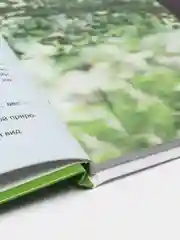 Книга энциклопедия для детей "Обезьяны" 64 стр. 217х280 мм. Проф-Пресс