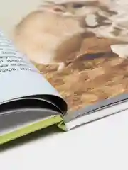 Книга детская энциклопедия "Наши любимые питомцы" А4 гладкая бумага. Проф-Пресс