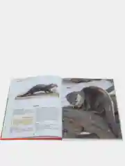 Энциклопедия для детей "Красная книга России" Проф-Пресс
