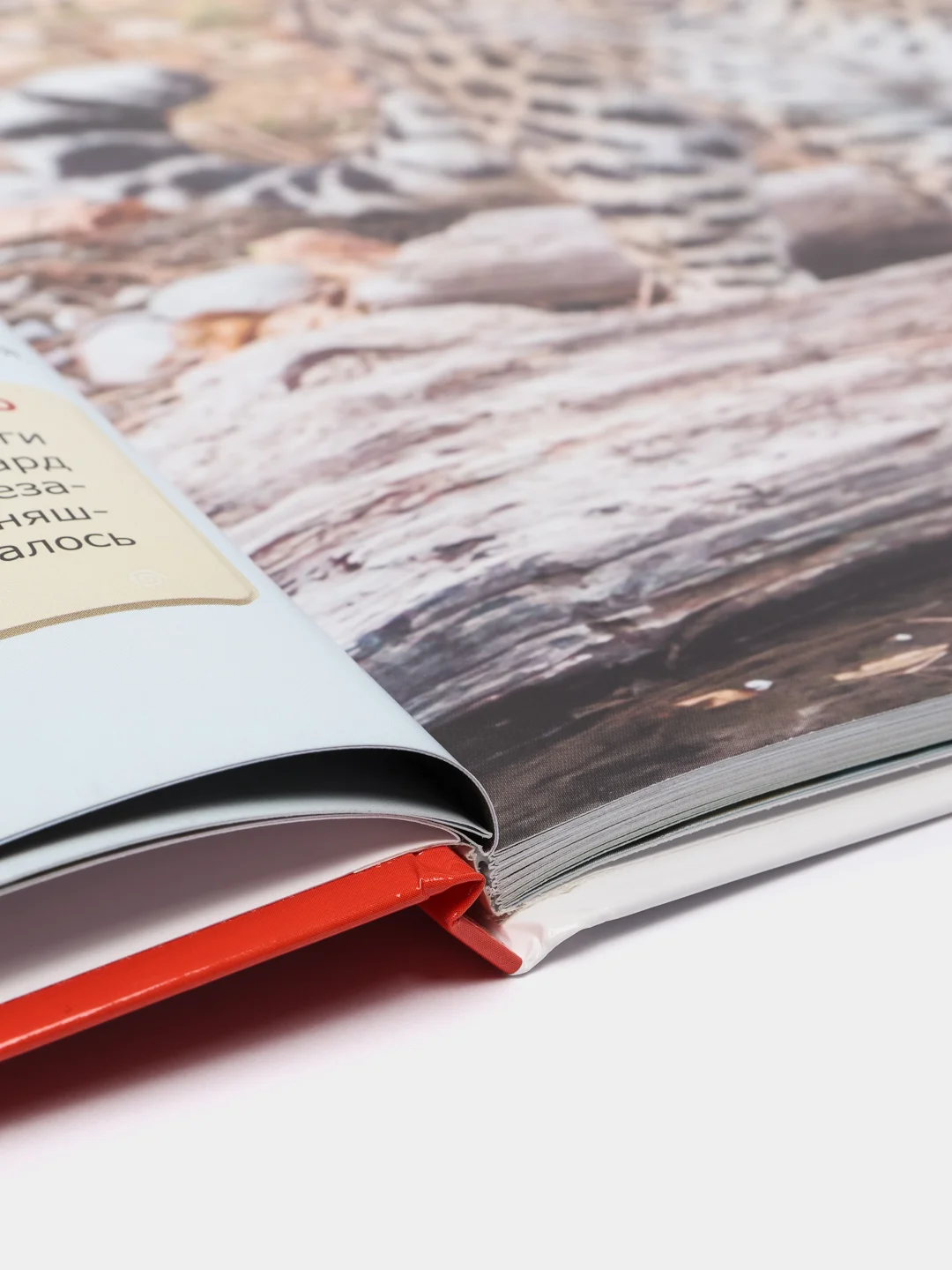 Энциклопедия для детей "Красная книга России" Проф-Пресс