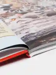 Энциклопедия для детей "Красная книга России" Проф-Пресс