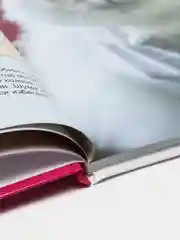 Энциклопедия для детей "Кошки" Проф-Пресс
