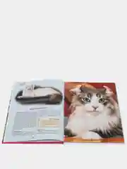 Энциклопедия для детей "Кошки" Проф-Пресс