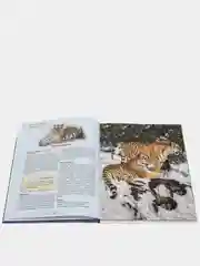 Книга детская энциклопедия "Кто в лесу живёт" А4 гладкая бумага. Проф-Пресс