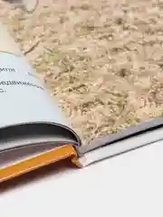 Книга энциклопедия для детей "Рекордсмены животного мира" 64 стр. 217х280 мм. Проф-Пресс