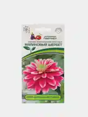 Семена партнер Цинния Малиновый щербет (цветы)
