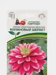 Семена партнер Цинния Малиновый щербет (цветы)