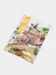 Имбирь "Жар Востока" , 20 гр