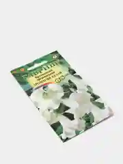 Семена Бругмансия древовидная "Аромагия белая"
