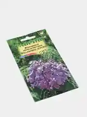 Жакаранда мимозолистная Фиалковое дерево 3 шт