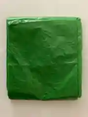 Лайм дождевик