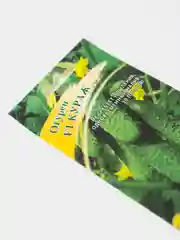 Огурец Кураж, семена