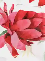 Алый пакет подарочный с вырубной ручкой с цветочным принтом