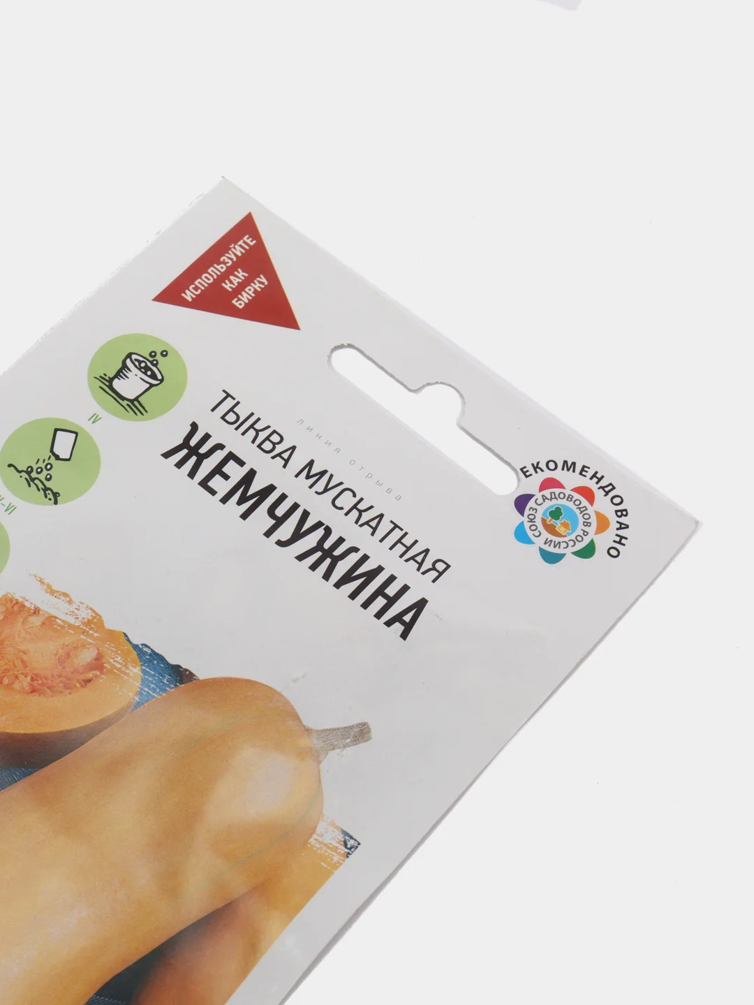 Семена Тыква мускатная "Жемчужина", белая