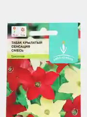 Табак крылатый Сенсация смесь 0,2г / Семена цветов