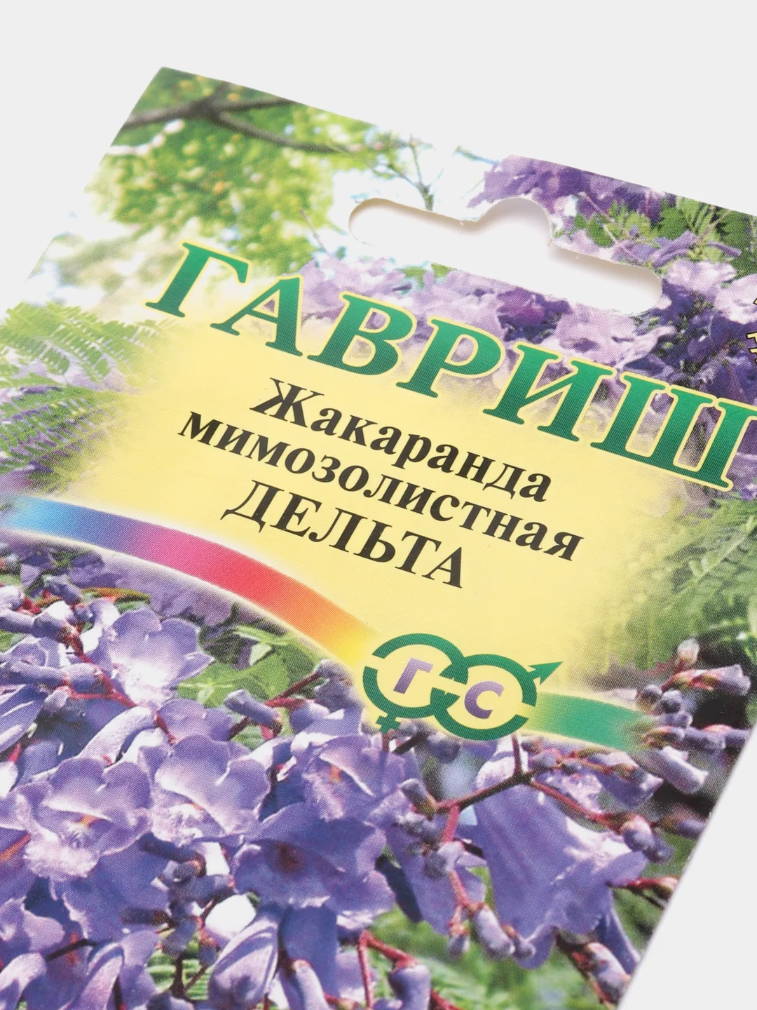 Жакаранда мимозолистная Дельта (семена,цветы)