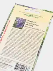 Жакаранда мимозолистная Дельта (семена,цветы)