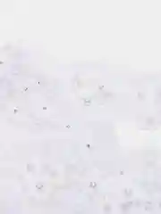 Белый кружево с жемчугом, 1 м