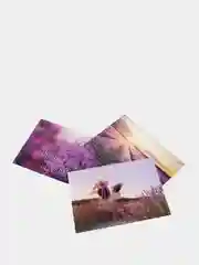 Лавандовый постер лаванда/декор для дома/интерьер/постер/картина/стикеры самоклеящиеся/постер а4