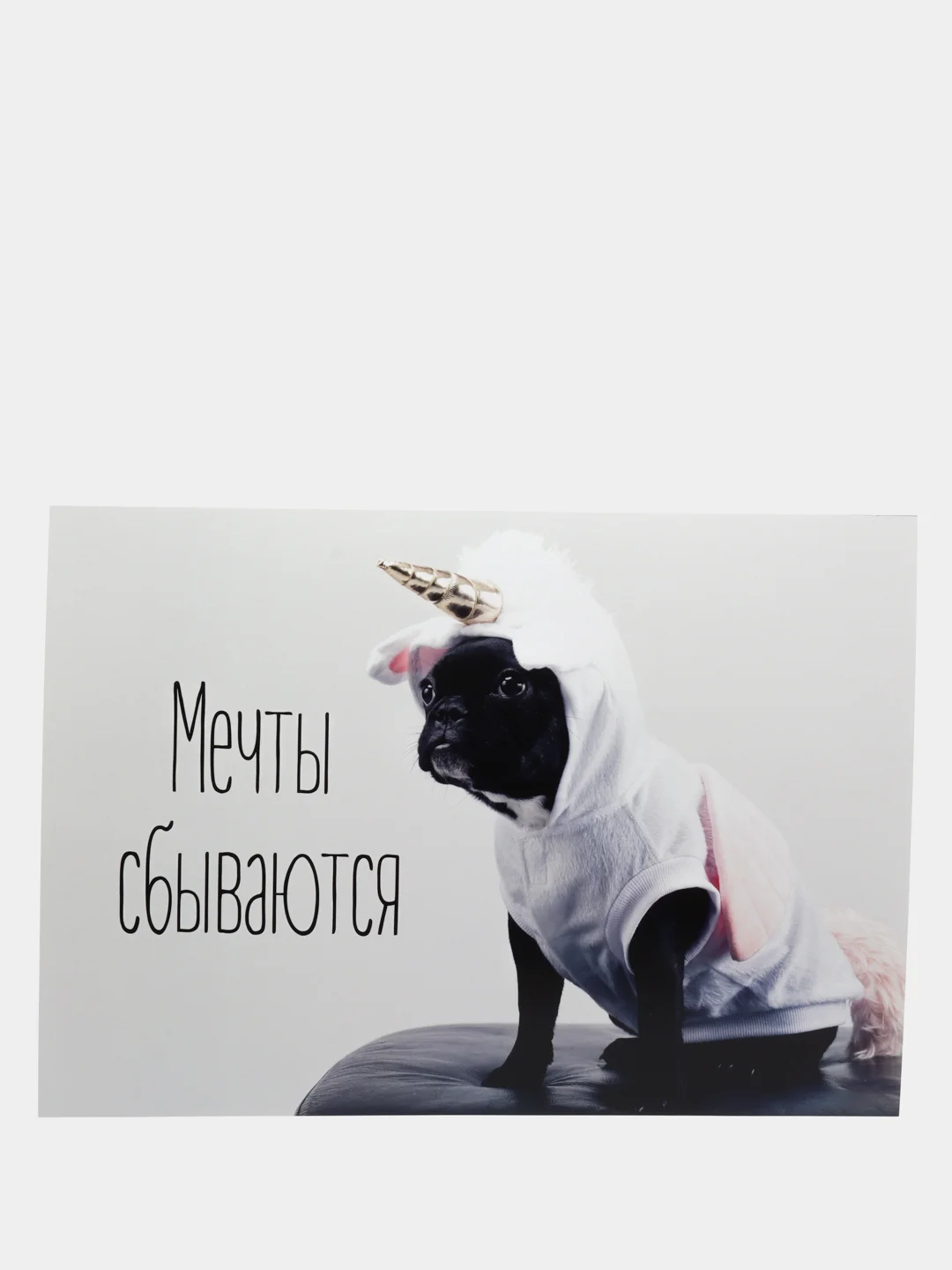 Светло-бежевый постер лаванда/декор для дома/интерьер/постер/картина/стикеры самоклеящиеся/постер а4