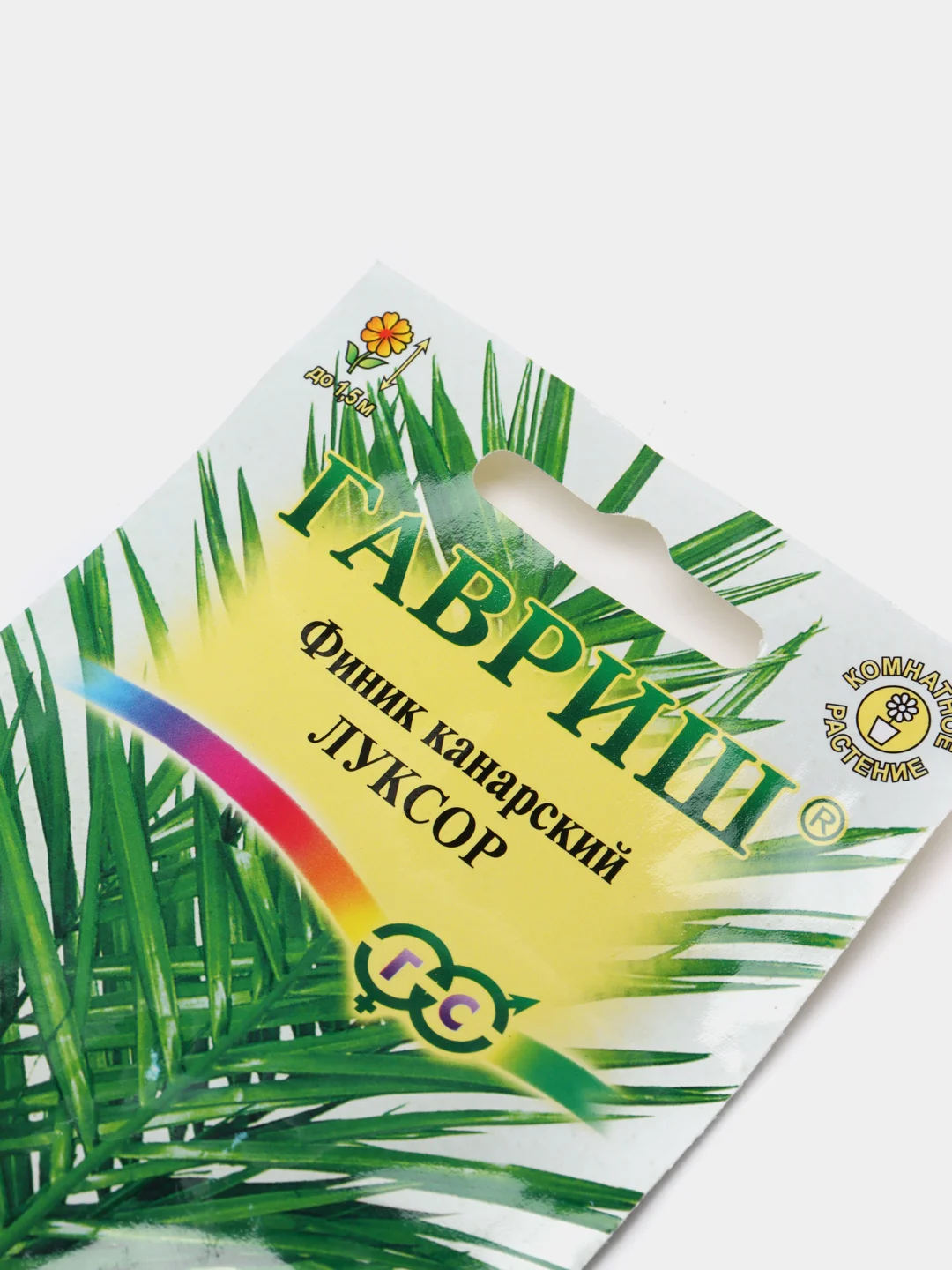 Финик канарский "Луксор", семена