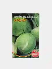 Капуста белокочанная "Заря МС", семена