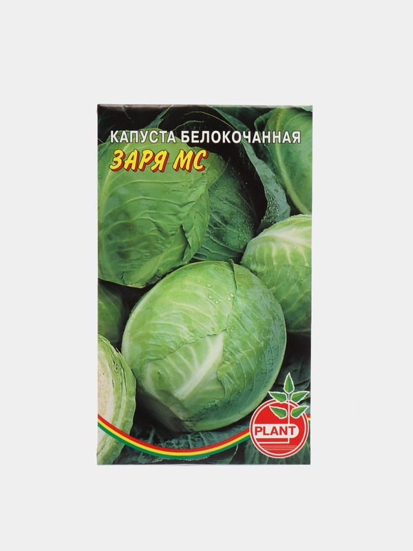 Капуста белокочанная "Заря МС", семена