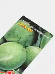 Капуста белокочанная "Заря МС", семена