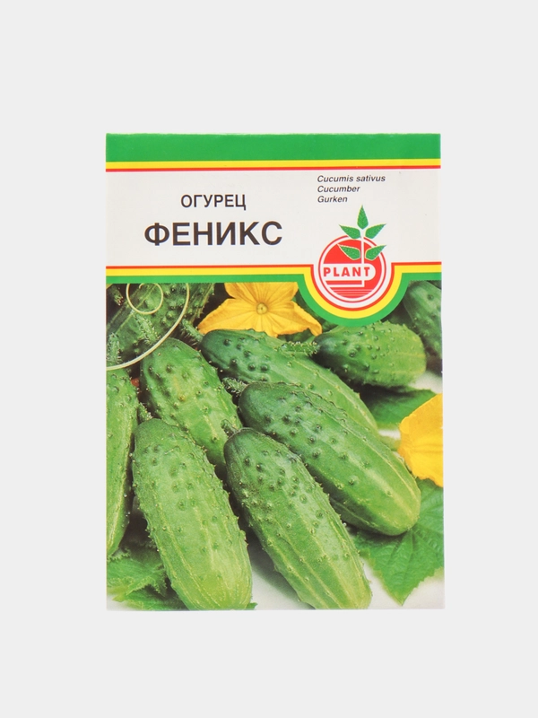 Огурец "Феникс", пчёлоопыляемый, 10 штук, семена