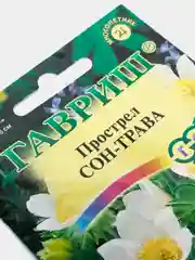 Семена Прострел "Сон-трава" набор 1, 3, 5 уп