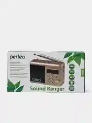 Золотой perfeo мини-аудио Sound Ranger, УКВ+FM, MP3 (USB/TF), USB-audio, BL-5C 1000mAh