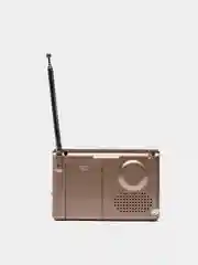 Золотой perfeo мини-аудио Sound Ranger, УКВ+FM, MP3 (USB/TF), USB-audio, BL-5C 1000mAh