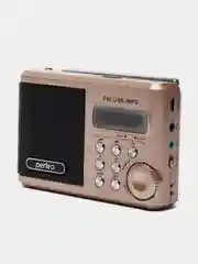Золотой perfeo мини-аудио Sound Ranger, УКВ+FM, MP3 (USB/TF), USB-audio, BL-5C 1000mAh