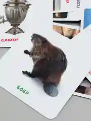 Обучающие карточки Умный чемоданчик "Моя страна - Россия", Проф-Пресс