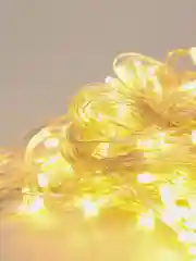 Гирлянда светодиодная, 10 метров, 100 Led, 220В, 8 режимов