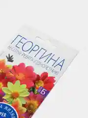Семена Георгин "Радуга смесь", "Махровая смесь", "Веселые ребята", "Пикколо миньон"