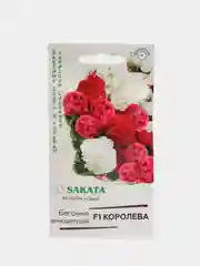 Бегония Королева смесь (семена,цветы)