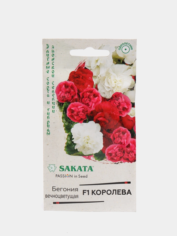 Бегония Королева смесь (семена,цветы)