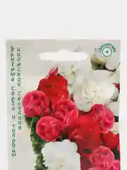 Бегония Королева смесь (семена,цветы)
