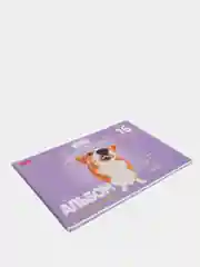 Коралловый альбом для рисования 16 листов, А4 скоба, МИКС
