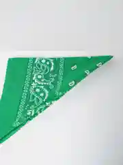 Зеленый бандана с принтом