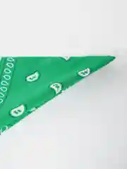 Зеленый бандана с принтом
