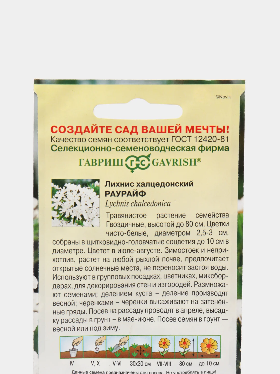 Лихнис "Раурайф", семена цветов