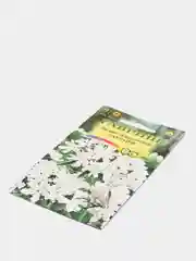 Лихнис "Раурайф", семена цветов