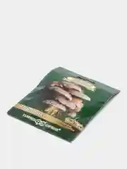 Грибы Шиитаке, семена