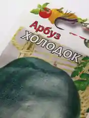 Семена арбуза "Холодок"