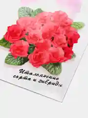 Семена цветов "Примула Ромио красная"