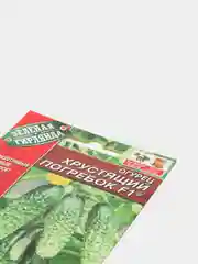 Огурец "Хрустящий погребок", семена
